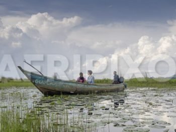 Mabamba Swamp Birding